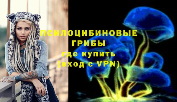 ешки Сосновоборск